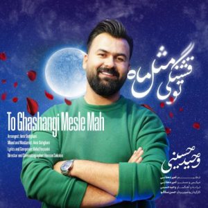 وحید حسینی – تو قشنگی مثل ماه